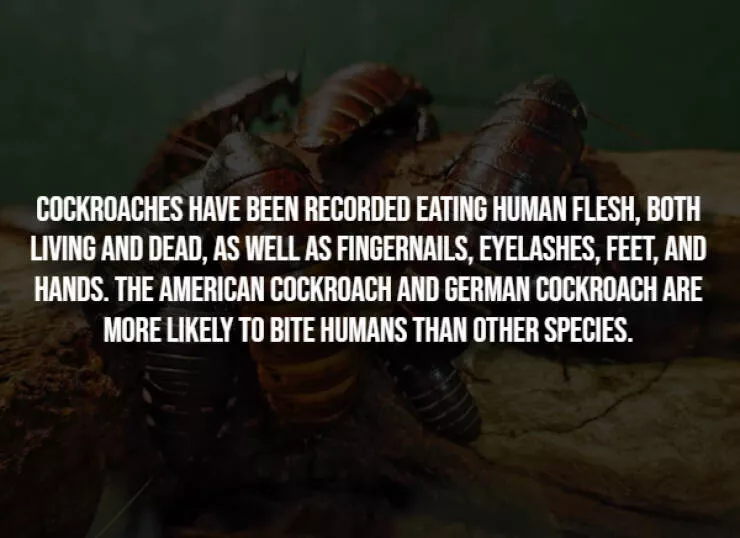 Spooky facts thatll give you chills - #7 