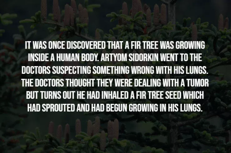 Spooky facts thatll give you chills - #9 