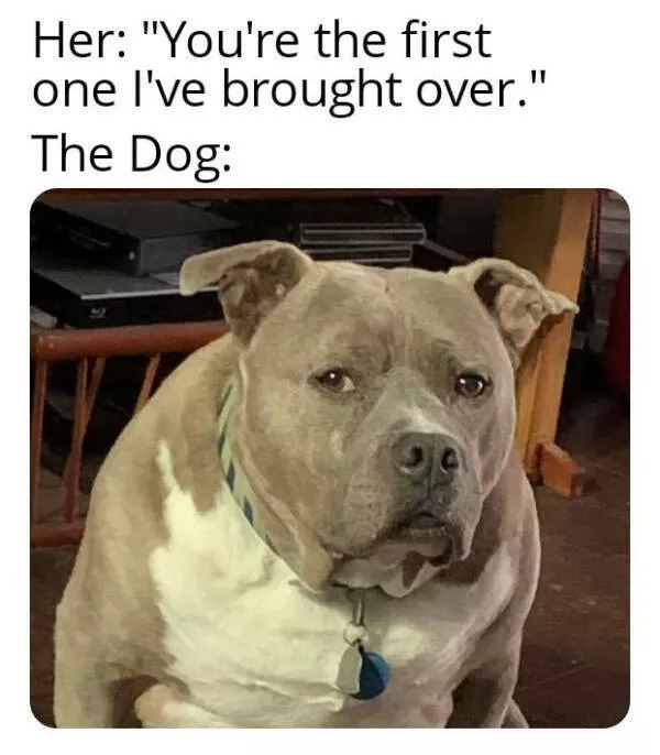 Dank memes that should probably be illegal - #21 