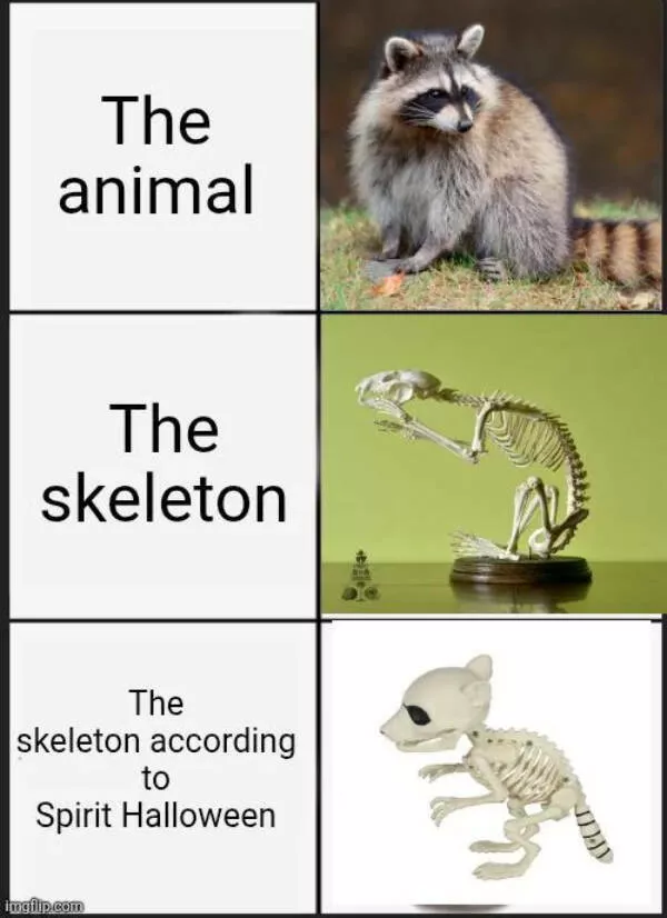 Dank memes that should probably be illegal - #5 