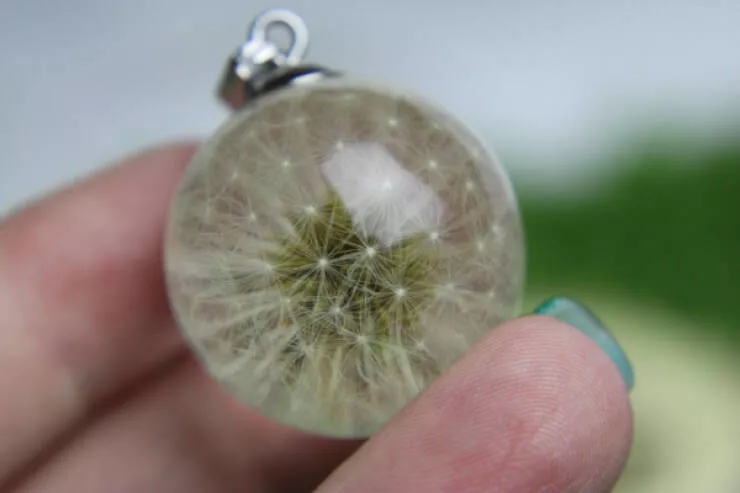 A feast for the eyes a gallery of beauty - #4 A real dandelion preserved in there!