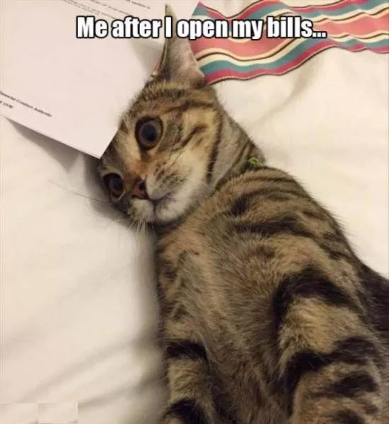 Picdump 144 - #32 