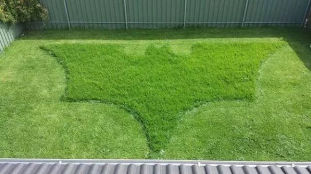 Picdump 144 - #61 