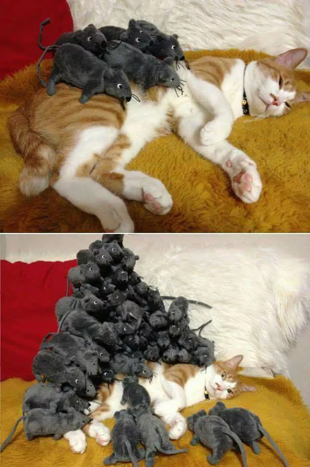 Picdump 144 - #75 