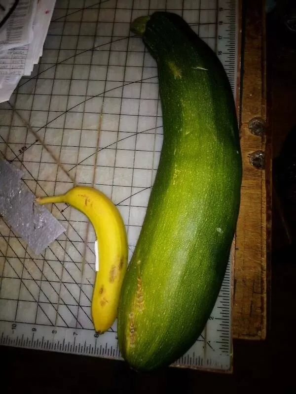 Size matters a matter of scale - #28 