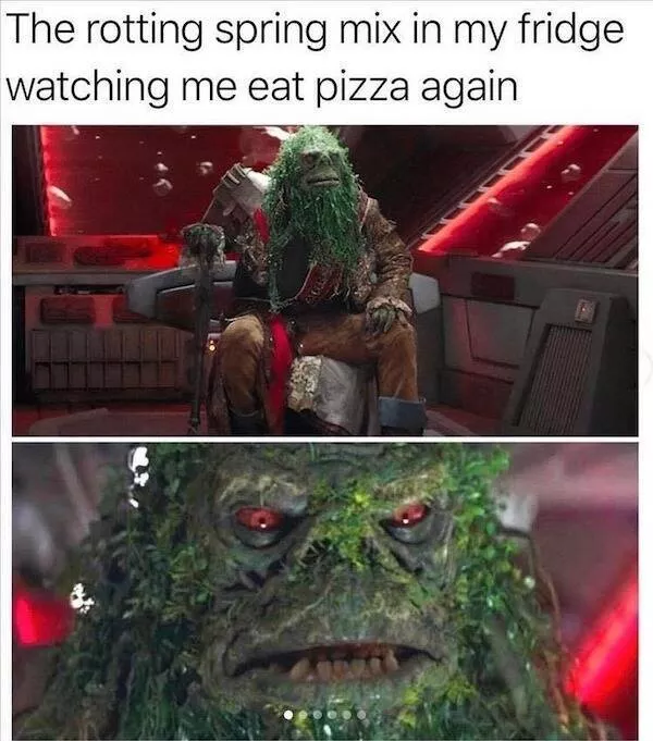 Pure wisdumb a collection of genius memes - #15 