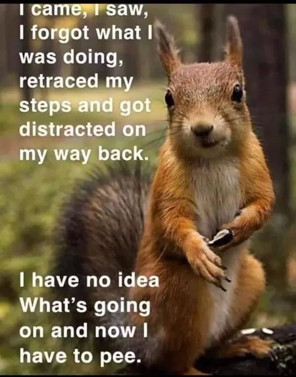 Pure wisdumb a collection of genius memes - #18 