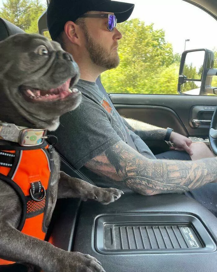 Funny vacation pictures a hilarious trip - #13 Tank is so excited for his first camping trip