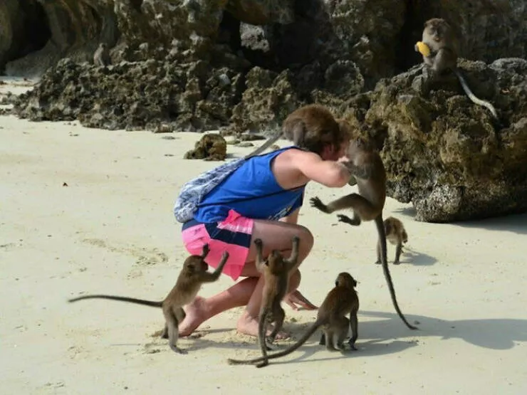 Funny vacation pictures a hilarious trip - #36 I sat down on the wrong beach in Thailand