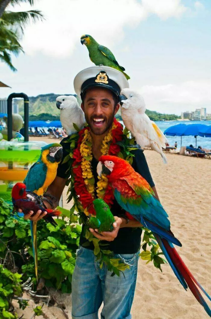 Photos de vacances droles et insolites - #5 Mon ami en voyage à Hawaï pour la première fois
