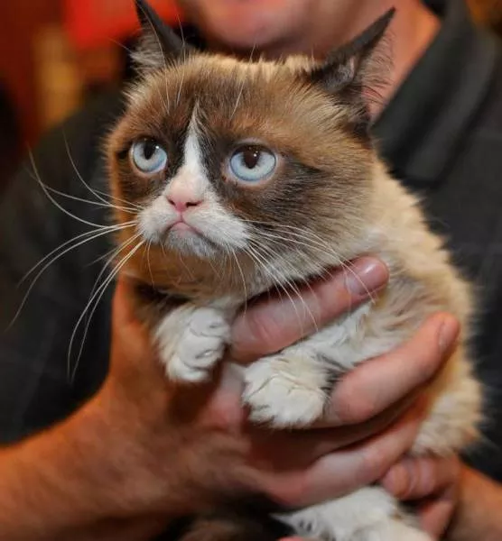 Picdump 145 - #20 