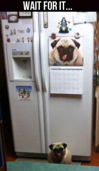 Picdump 145 - #23 