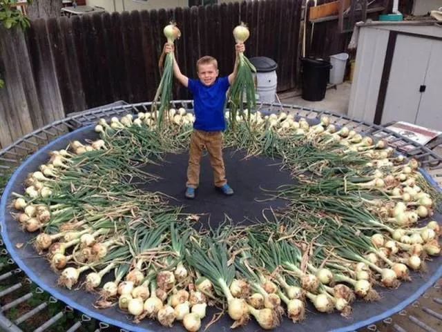Picdump 145 - #46 