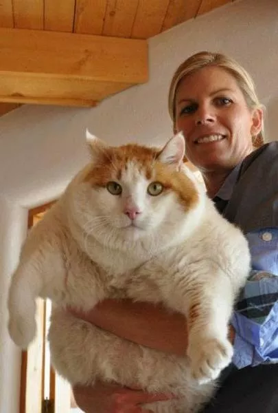 Picdump 145 - #55 