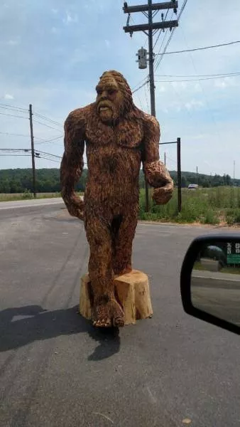 Picdump 145 - #77 