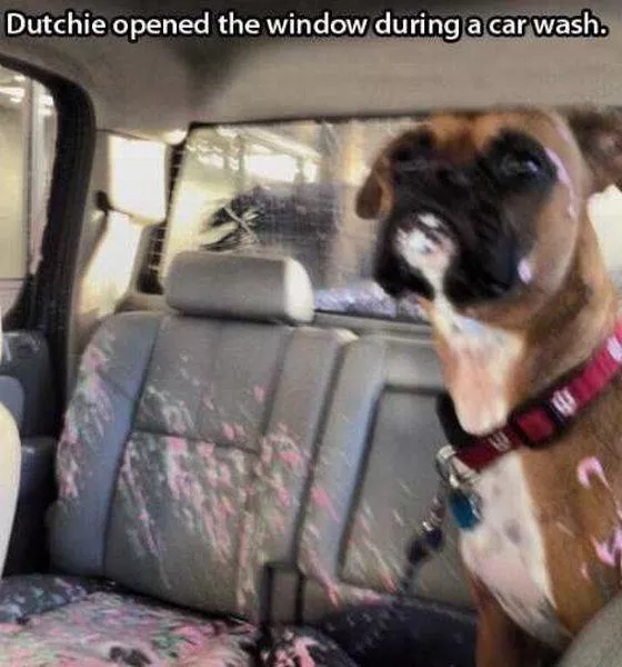 Picdump 145 - #9 