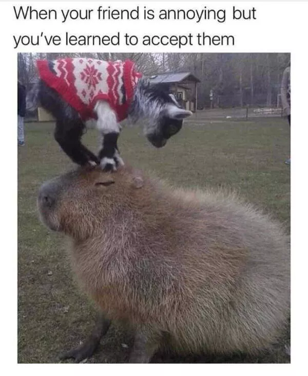 Wholesome happiness a gallery of pure joy - #10 