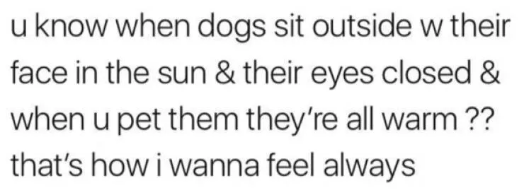 Wholesome happiness a gallery of pure joy - #11 