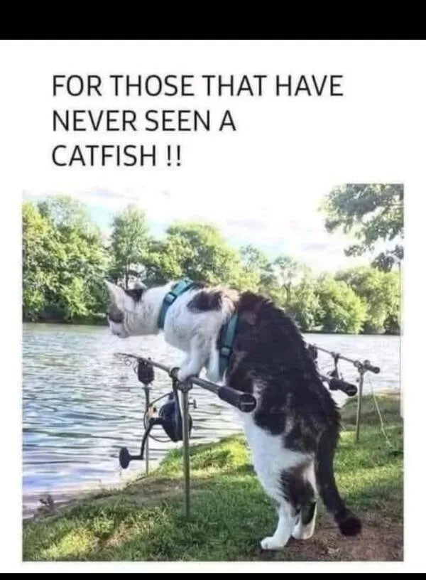 Wholesome happiness a gallery of pure joy - #12 