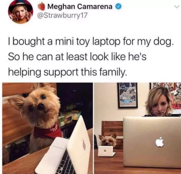 Wholesome happiness a gallery of pure joy - #14 