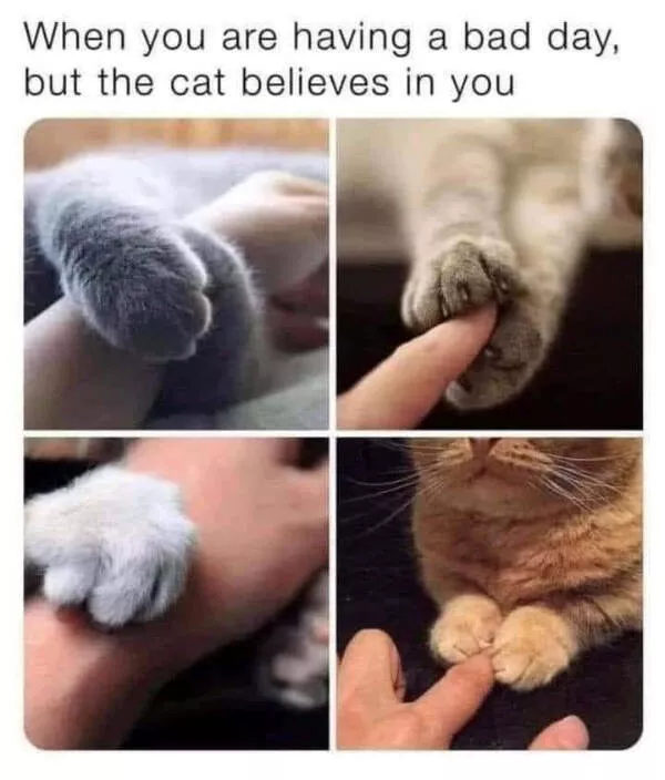 Wholesome happiness a gallery of pure joy - #15 