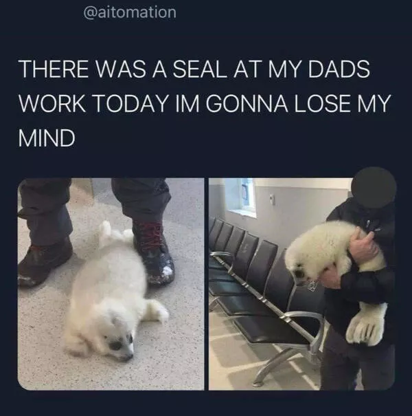 Wholesome happiness a gallery of pure joy - #17 