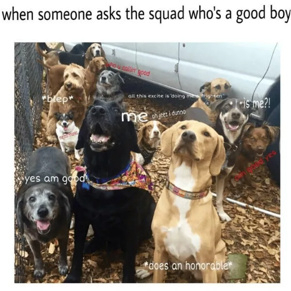 Wholesome happiness a gallery of pure joy - #21 