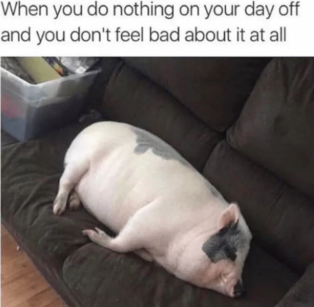 Wholesome happiness a gallery of pure joy - #23 