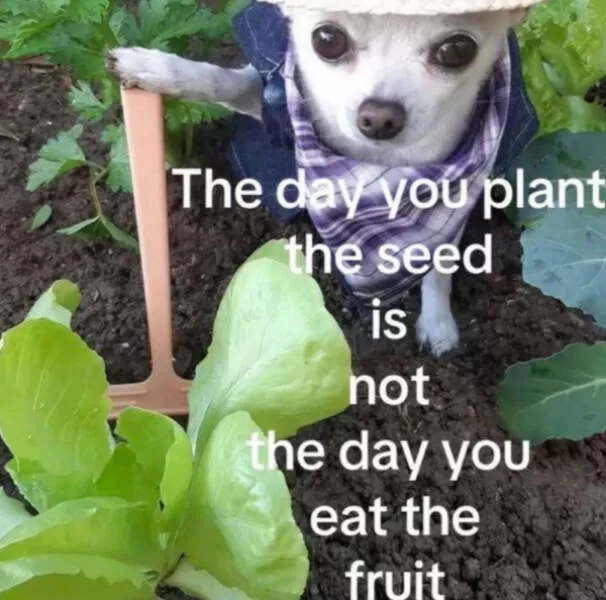 Wholesome happiness a gallery of pure joy - #24 