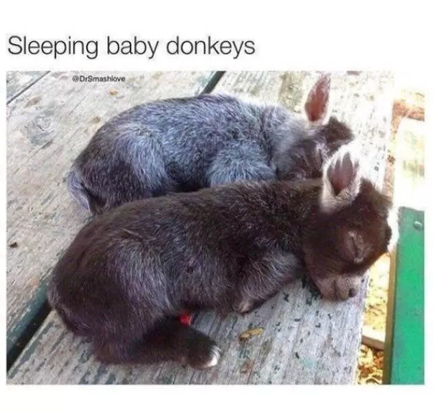 Wholesome happiness a gallery of pure joy - #3 