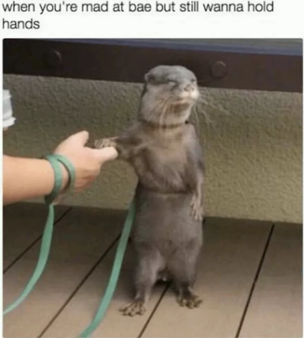 Wholesome happiness a gallery of pure joy - #6 