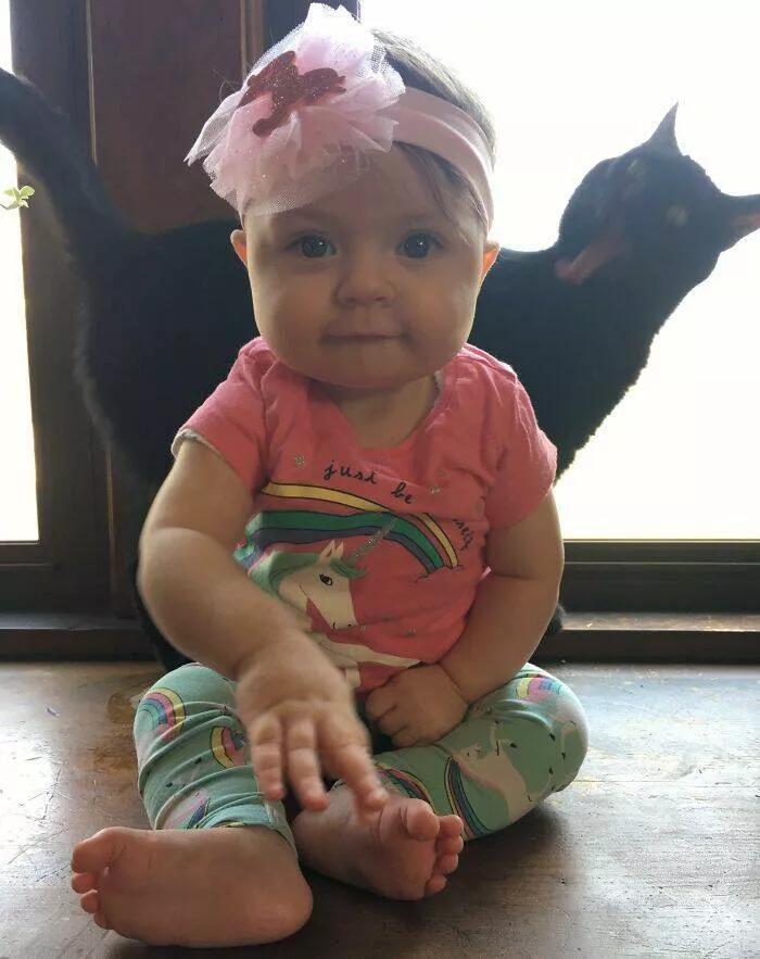 Pet photobombers accidental stars - #13 