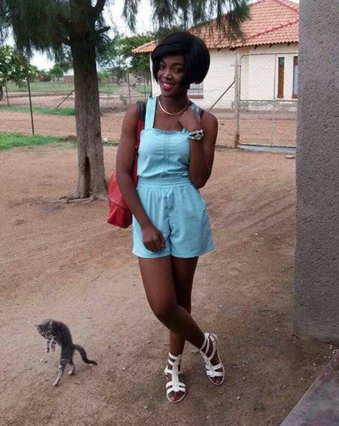 Pet photobombers accidental stars - #15 
