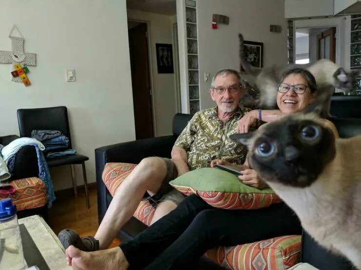 Pet photobombers accidental stars - #25 