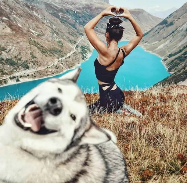 Pet photobombers accidental stars - #26 