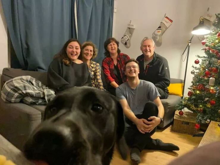 Pet photobombers accidental stars - #35 