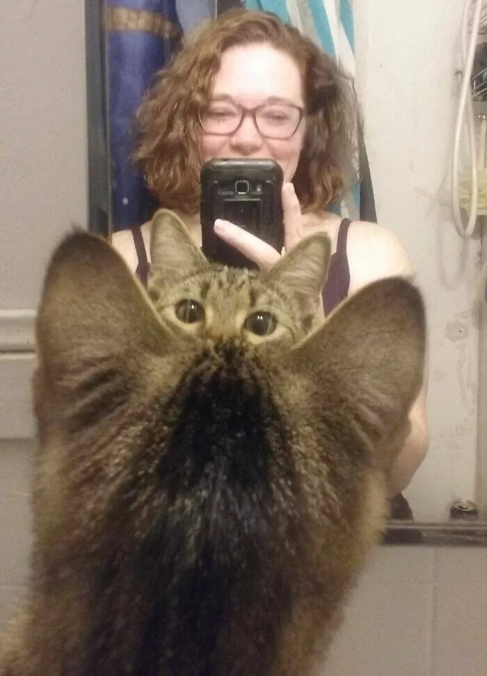 Pet photobombers accidental stars - #43 