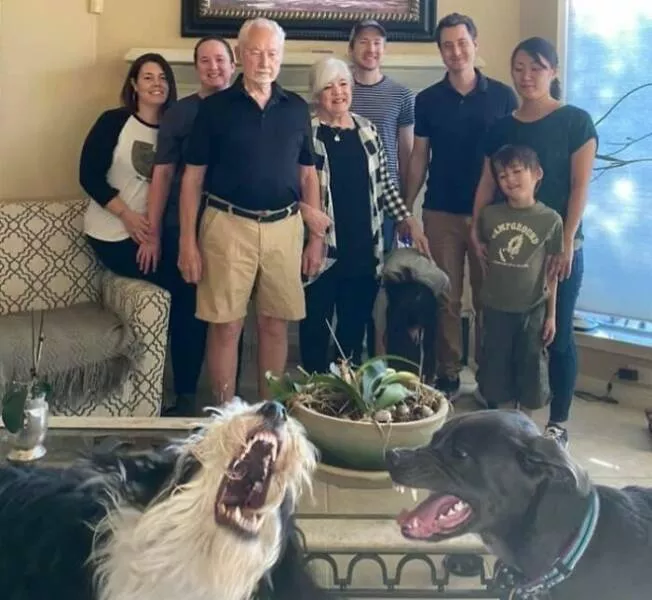 Pet photobombers accidental stars - #5 
