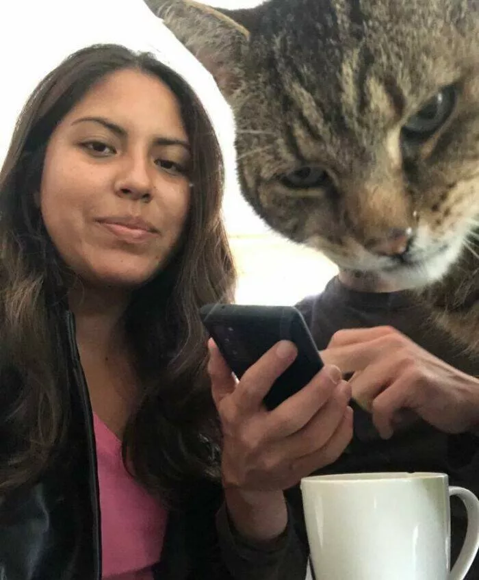 Pet photobombers accidental stars - #6 