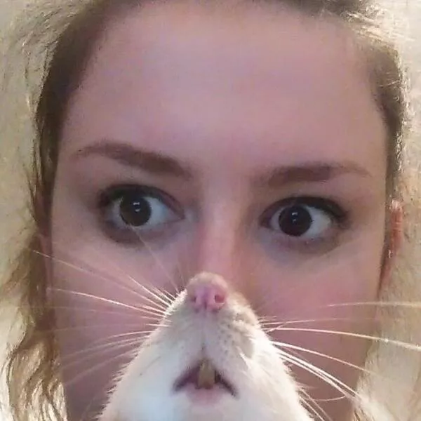 Pet photobombers accidental stars - #9 