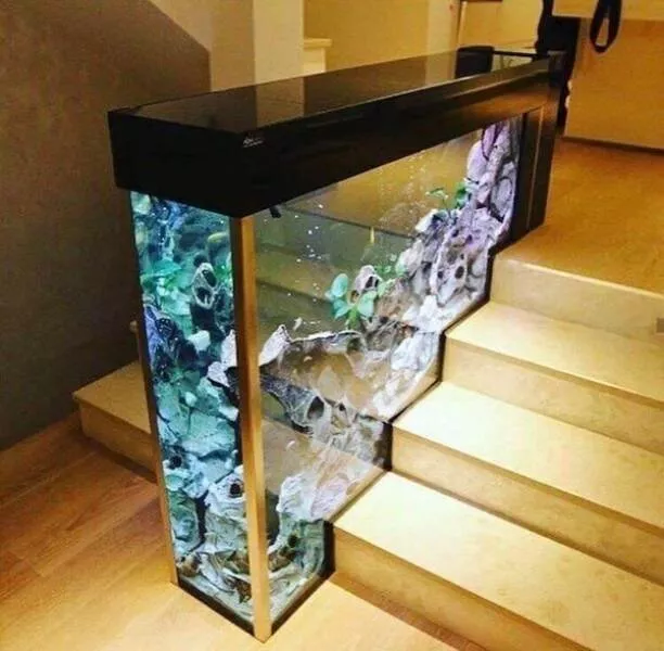 A gallery you wont want to miss - #34 