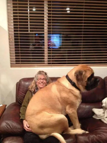 When everything goes wrong from the morning - #8 