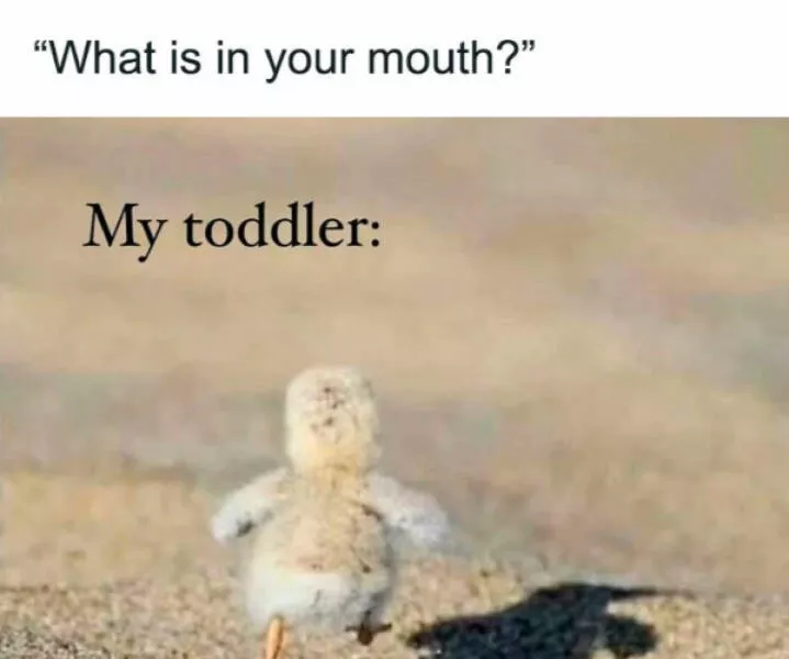 Memes de parents vous allez vous reconnaitre - #4 