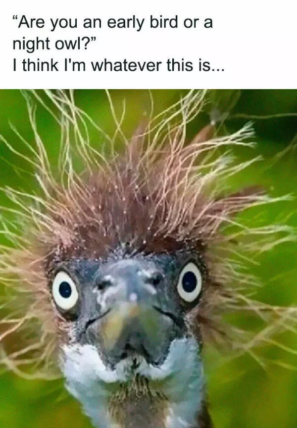 Parenting memes every mom and dad will relate - #8 