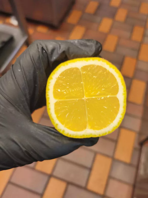Awesome pictures worth sharing - #17 Found a strange-looking lemon at the workplace