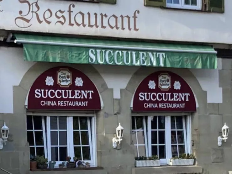 Awesome pictures worth sharing - #22 A local Chinese restaurant named Succulent