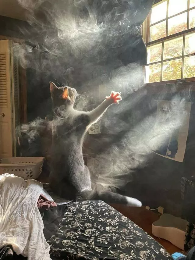Modern moments renaissance vibes