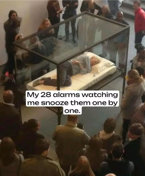 Compilation de memes aleatoires - #20 