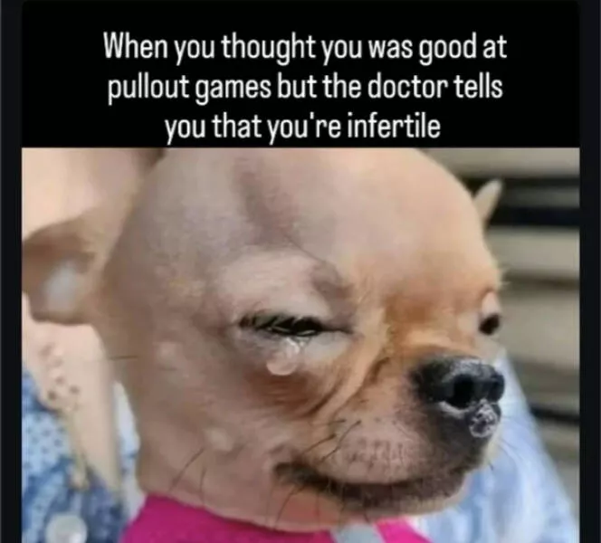Random memes a totally chaotic dump - #28 