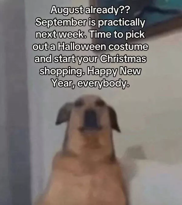 Random memes a totally chaotic dump - #7 